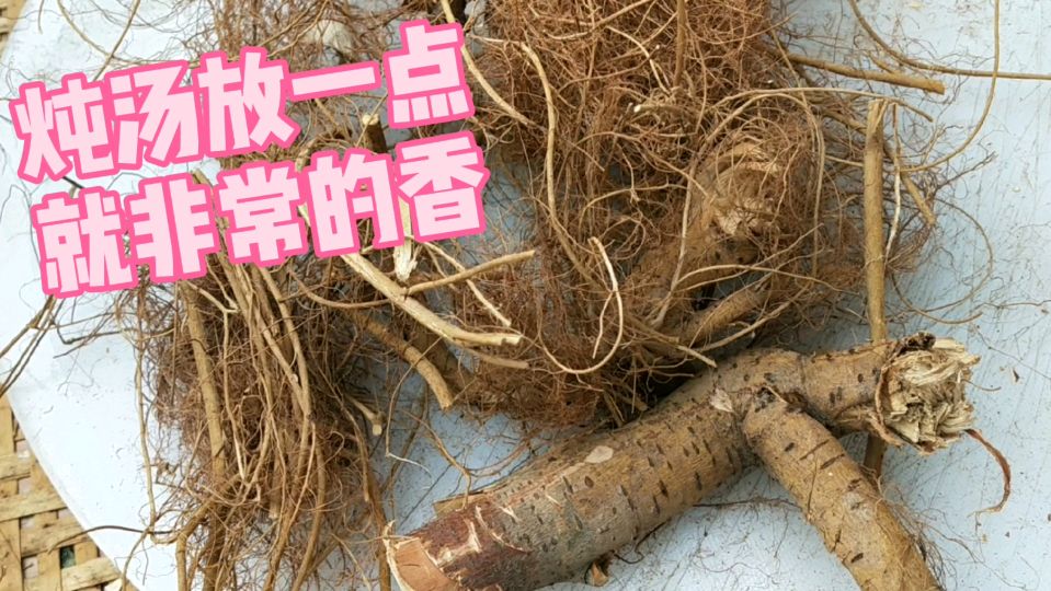 客家人逢年过节,炖汤必备的树根!炖鸡鸭,非常的香!