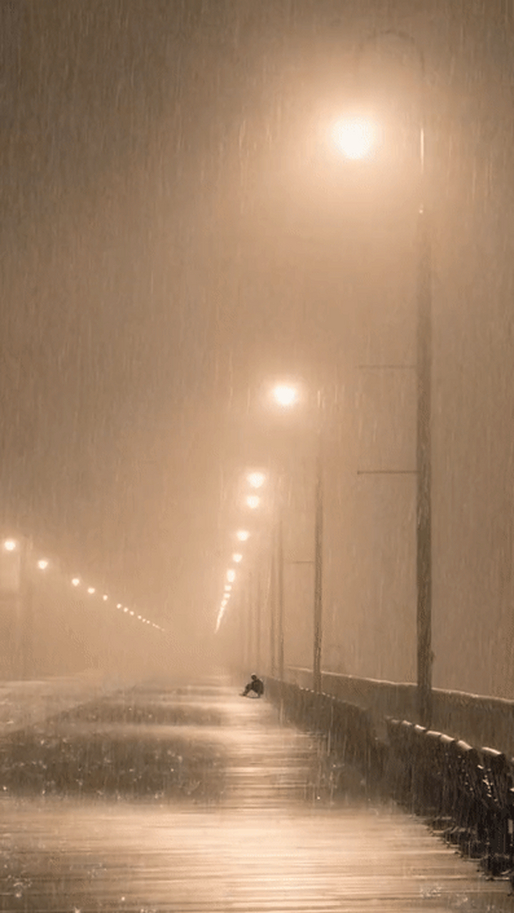 雨中路灯图片