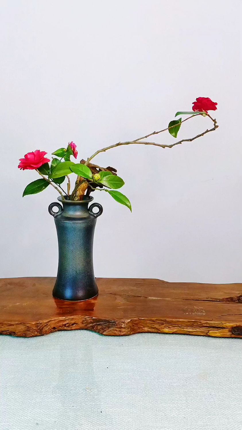 禅意插花,茶花插花