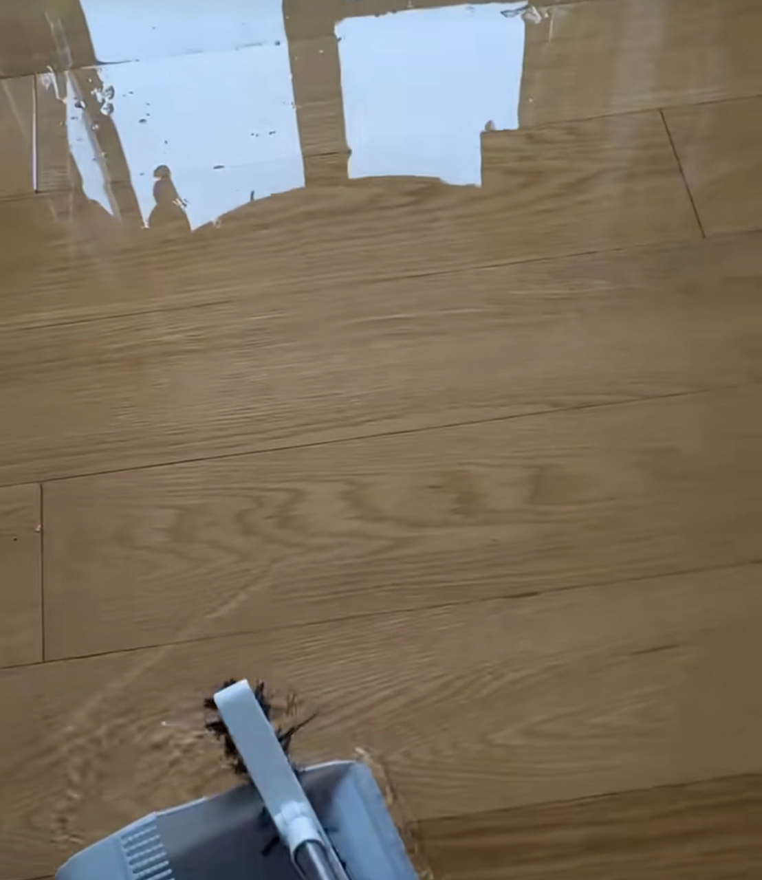 下大雨屋里进水了,木地板都能当镜子了……  不出