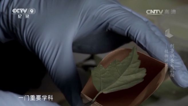 [图]央视纪录频道（刑事调查大揭秘）法医植物学