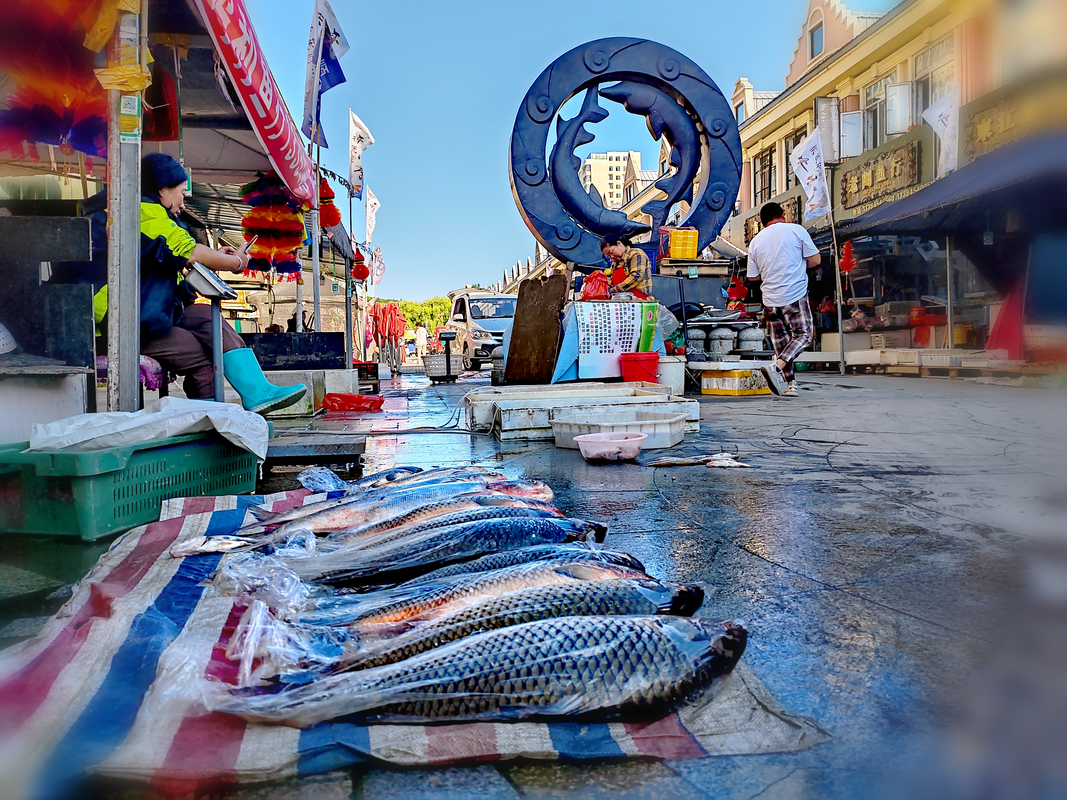 「走走拍拍61东北」清早逛东极鱼市