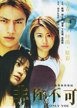 【直链】电视剧《非你不可（2001）》 - 1080P/720P高清HD下载