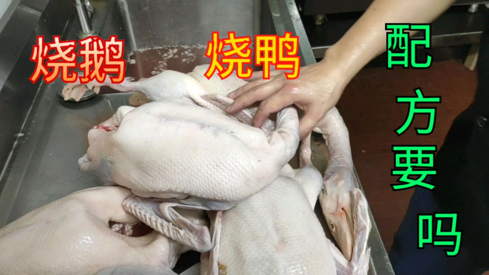 广东烧鹅烧鸭系列(3)选择什么样的鸭鹅做出来才漂亮?非常重要