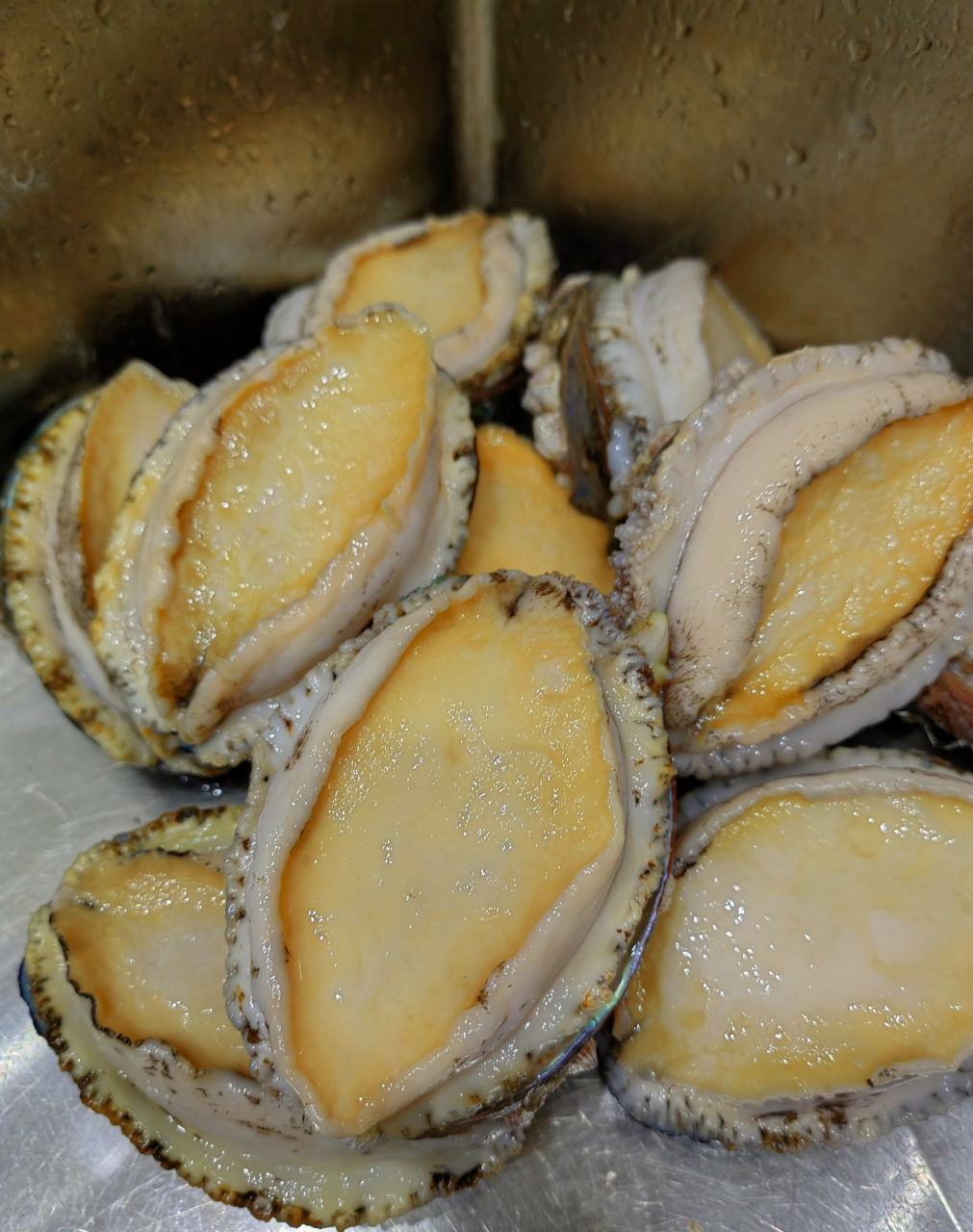 南非吉品鲍,南非鲍,中东禾麻老鲍,溏心吉品网鲍[666]美食.