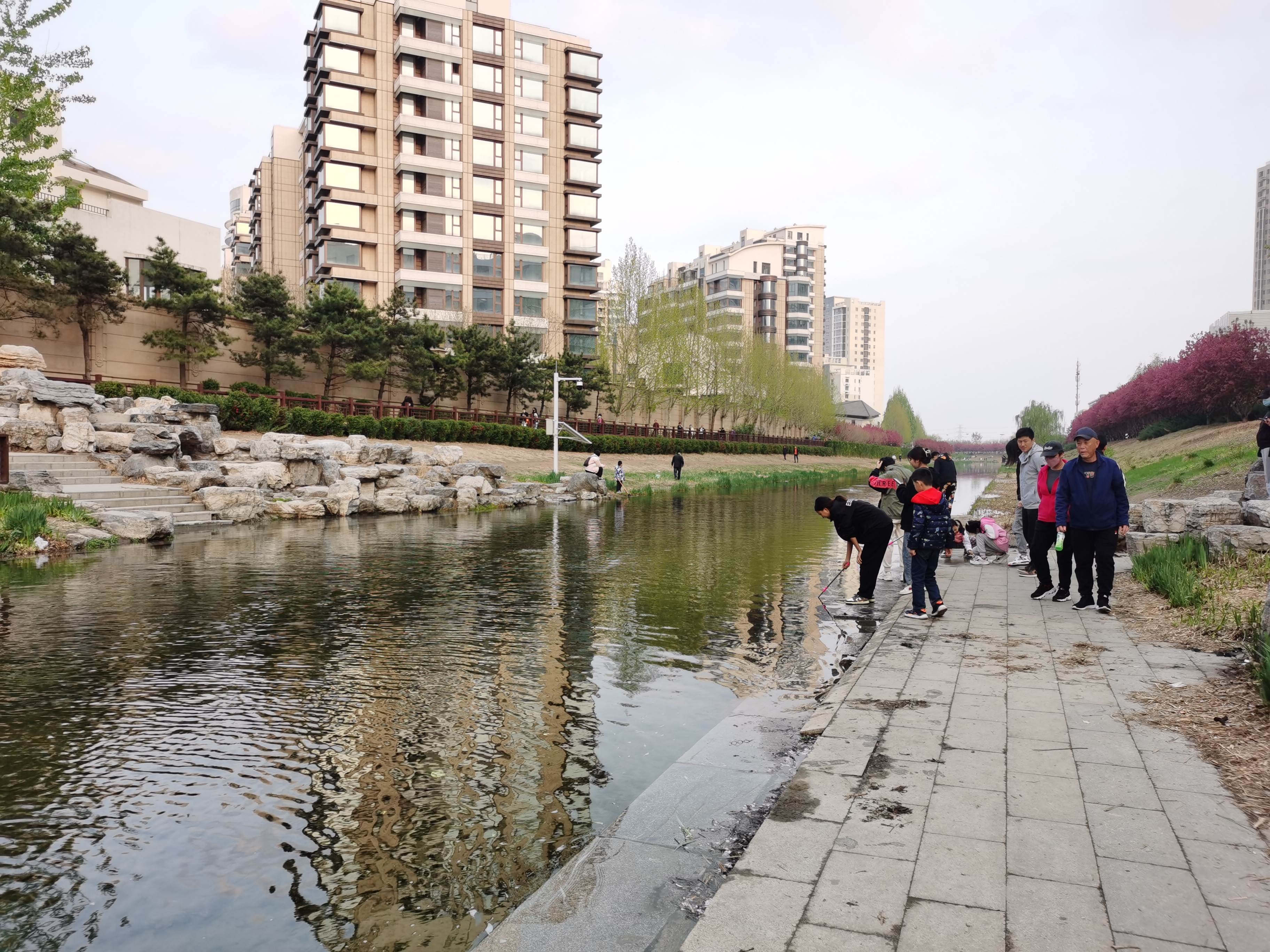 春天的萧太后河公园适合去赏花看瀑布