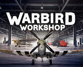 《 Warbird Workshop Season 1》1.80复古微变