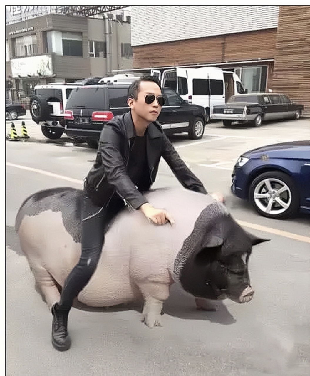 超哥你和二师兄准备上哪去