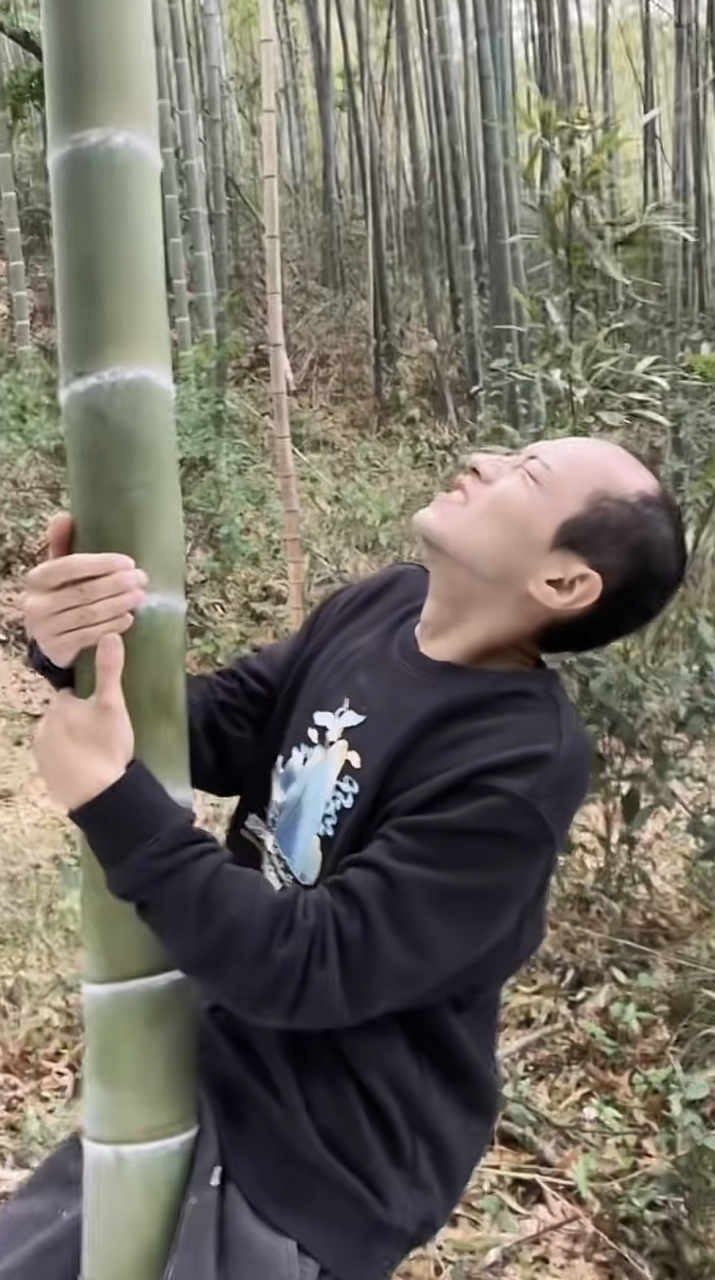 被一根竹子打回原形了.