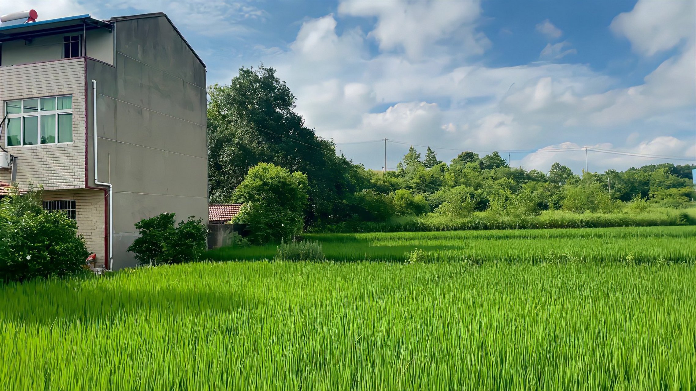 农村的风景,平淡但耐看,也许老家并不便利,却最温暖治愈. 67