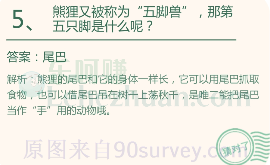 熊狸又被称为“五脚兽”,那第五只脚是什么呢?答案:尾巴 熊狸又被称为“五脚兽”,那第五只脚是什么呢?答案:尾巴