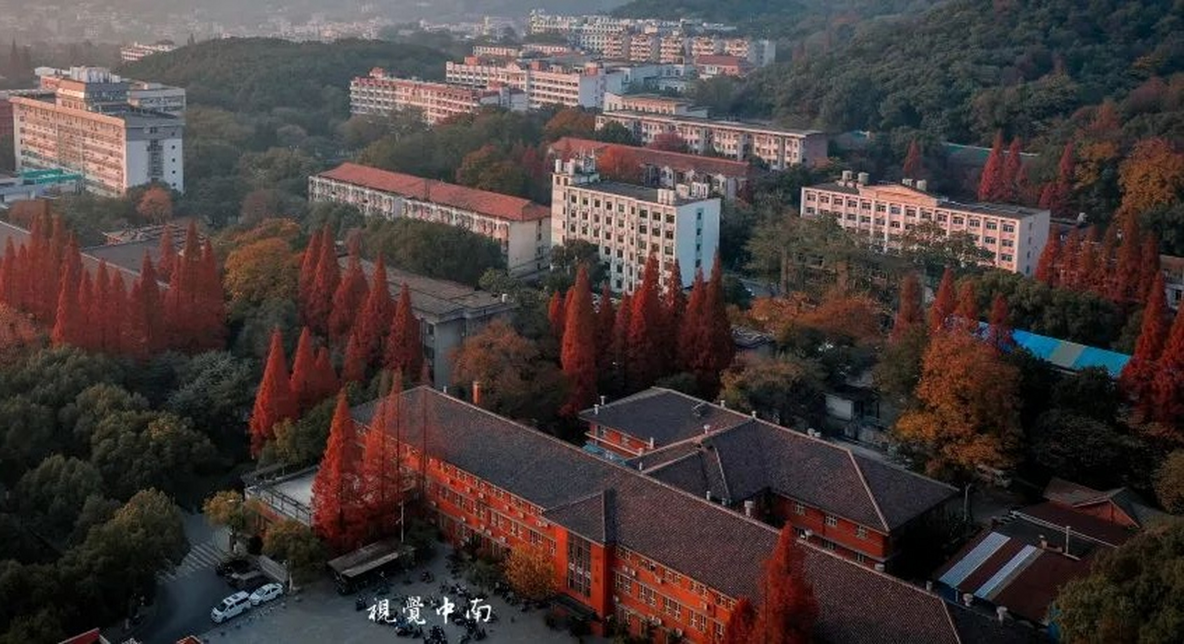 中南大学校园秋意渐浓,越来越美了!