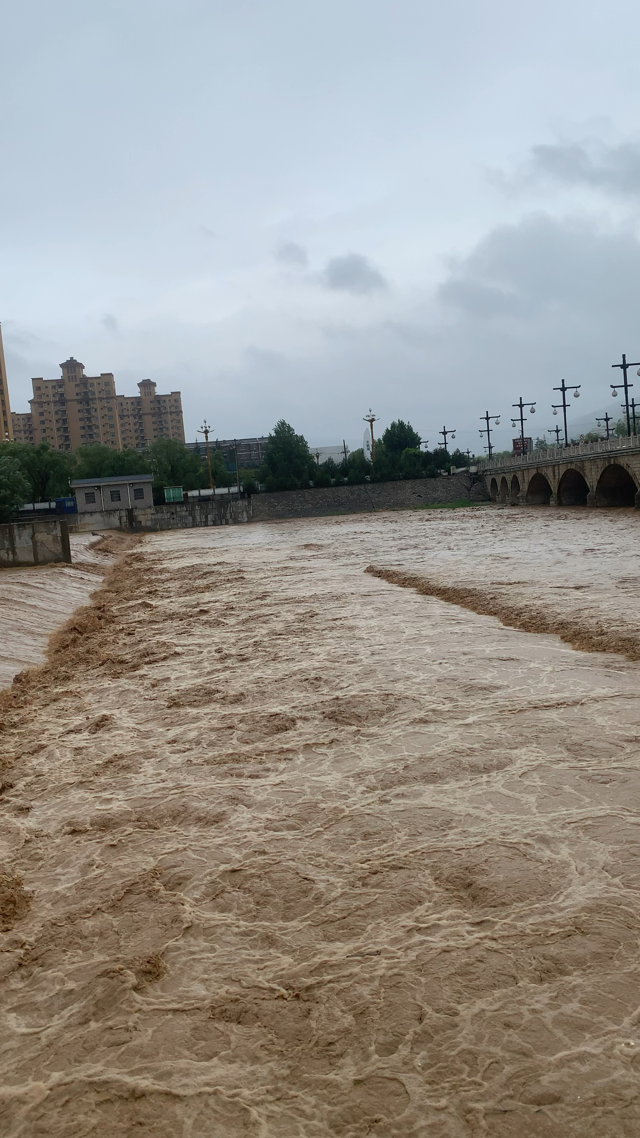昨晚到现在的雨下的挺大的,灞河涨水了.-度小视