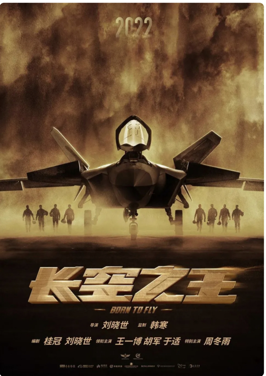 观看了《长空之王》是一部空战片,而我感觉是一部励志片,特别是队长