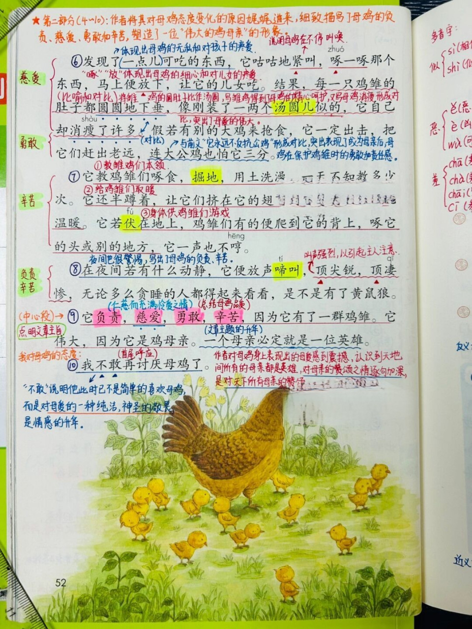 四年级下册语文笔记第四单元14课《母鸡》 课后练习题及课文解析等