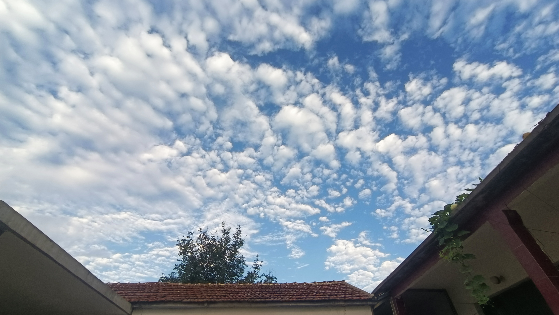 带你们看看,我家早上六点半,的天空[挤眼]