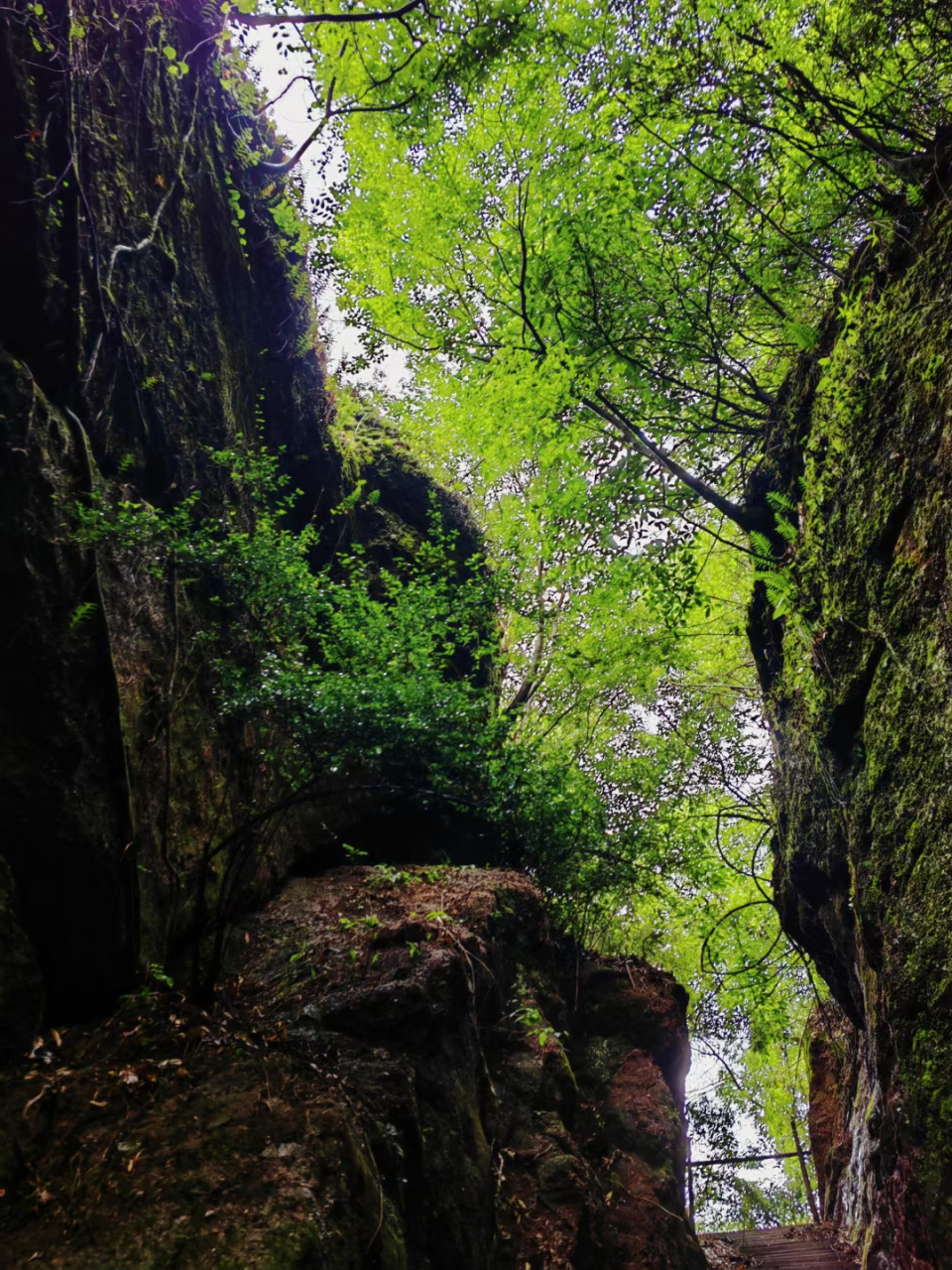 江西青龙岩风景区介绍图片