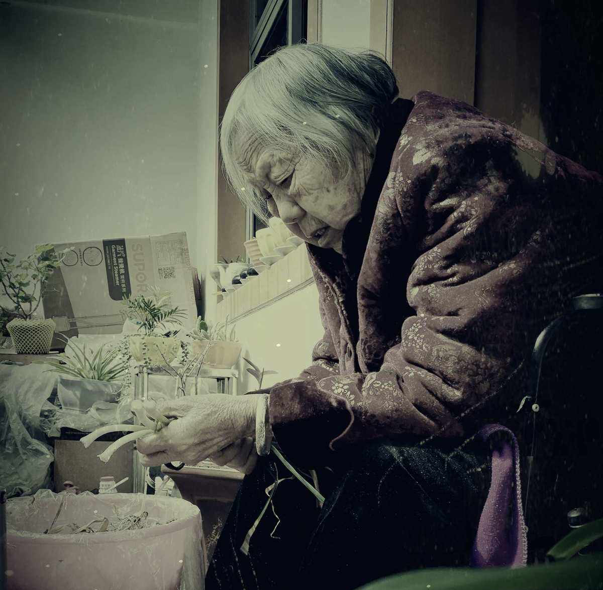 史铁生《秋天的怀念》凭啥入选初中亲情必修课文?就凭这一个原因