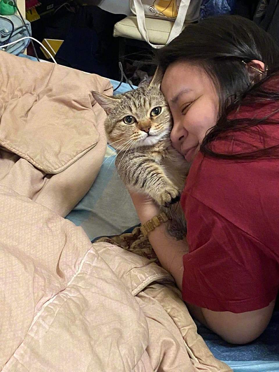 猫咪一副视死如归的表情.