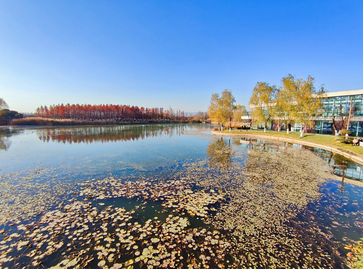 初冬宝鸡太公湖景美如画