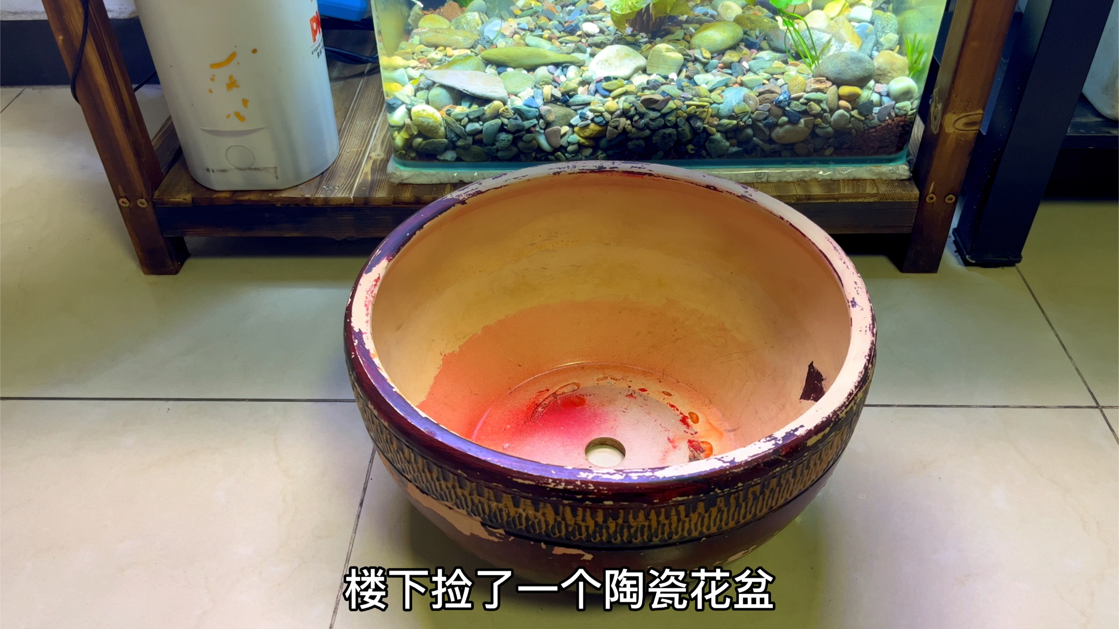 楼下捡个陶瓷花盆,给它改造成一下,做一个古法生态鱼缸