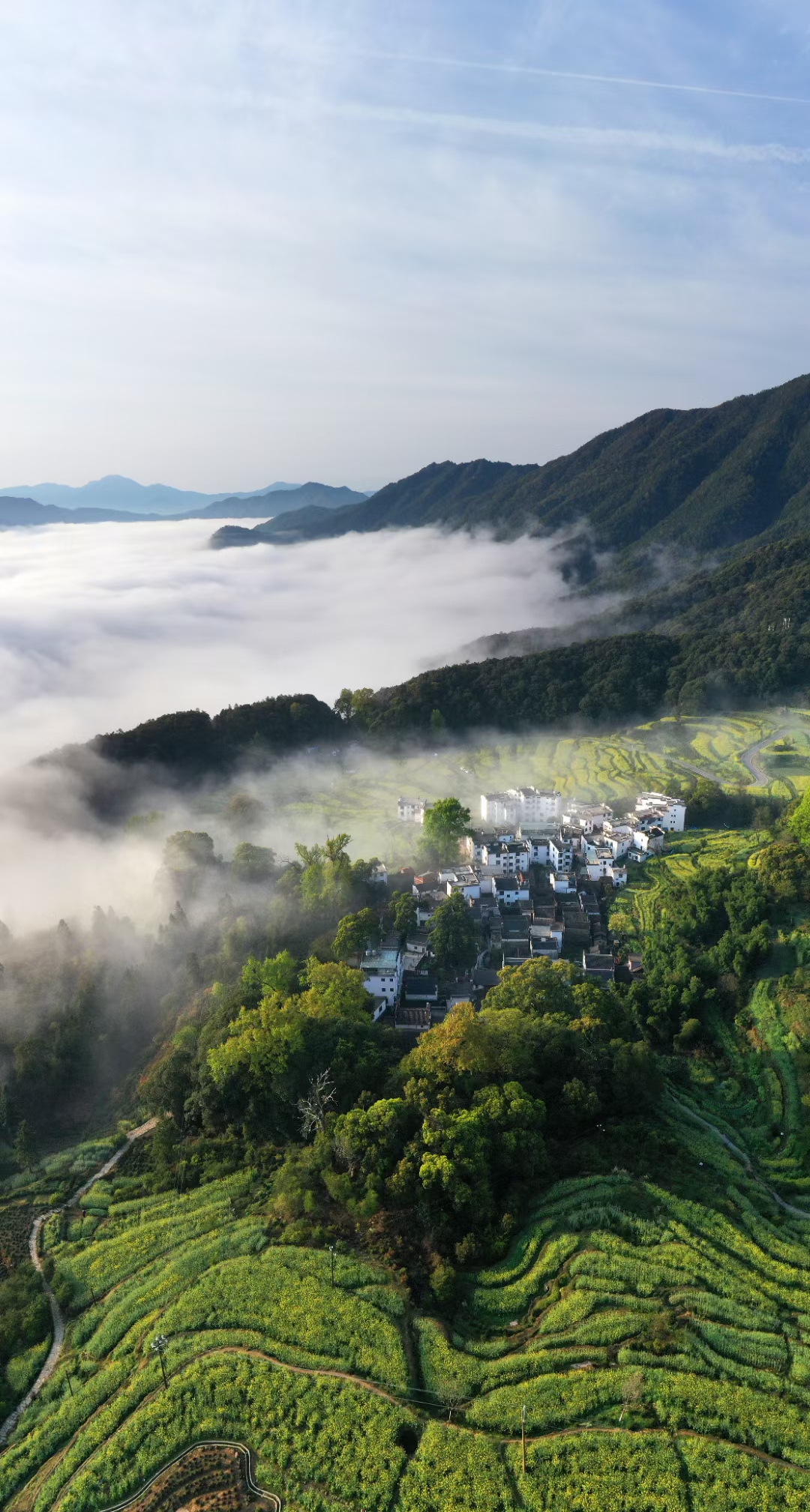 江西省婺源县溪头乡江岭景区美丽如画