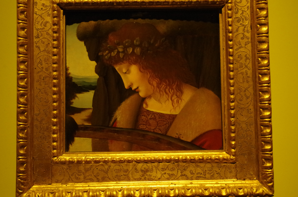 名画赏析——纳西索斯(乔瓦尼·安东尼·波塔费奥)