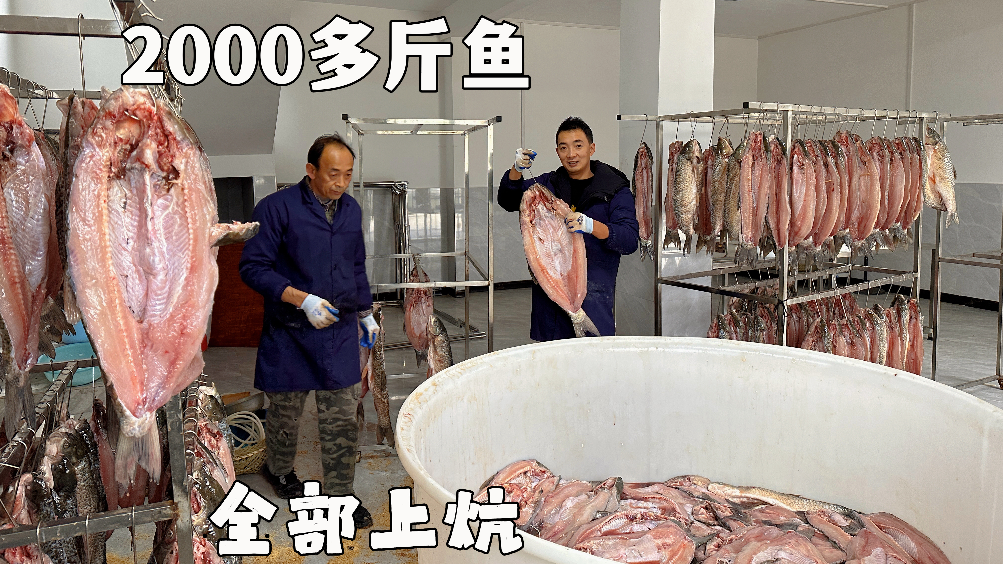 2000多斤鱼全部上炕,挂满了一大屋子,看着还真壮观