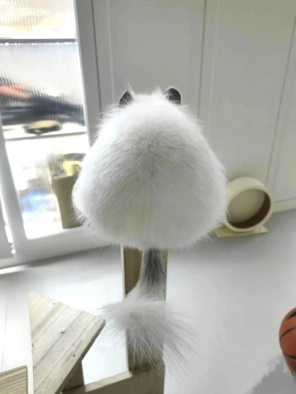 龙猫的背影真的好可爱啊