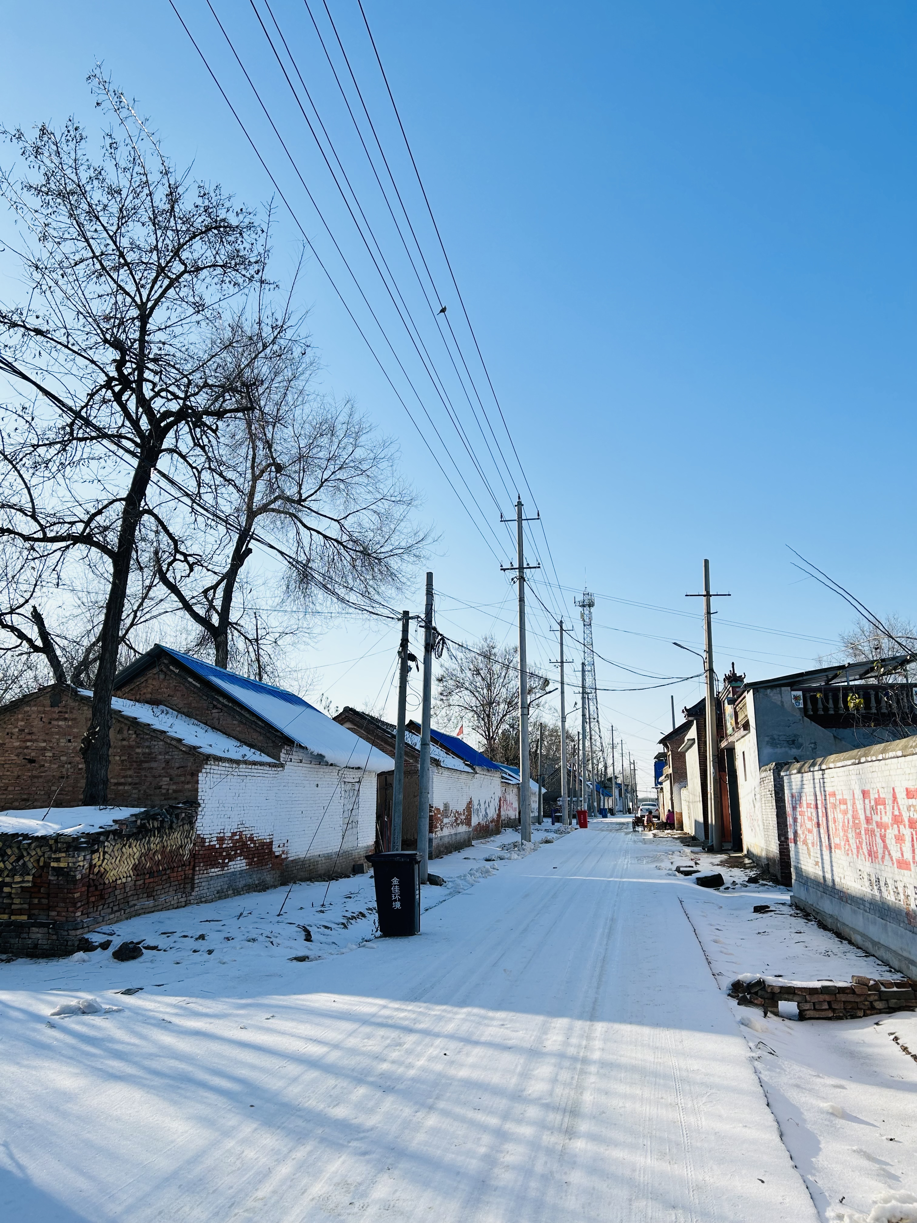 两手如龟髀肉消,青楼公子烧兰膏,雪压屋倒饮方豪,睡觉三竿红日高