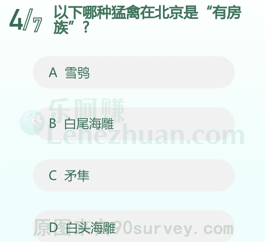白尾海雕在北京有分布 白尾海雕在北京有分布