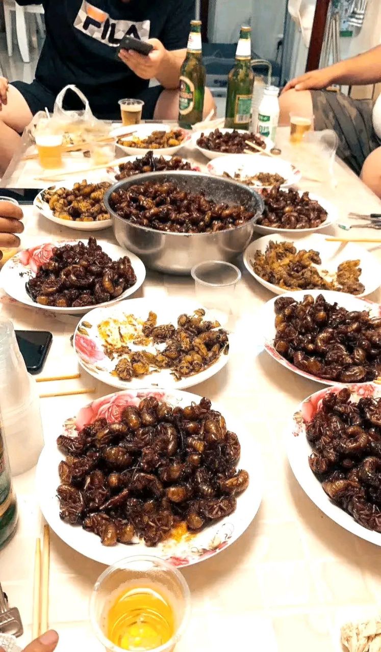 昨天晚上朋友给我打电话,让我去他们家吃饭,说是家里有野味,让我过去