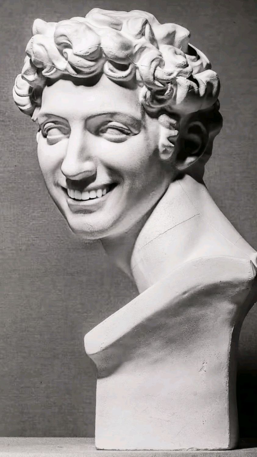 石膏像都笑了对美术生