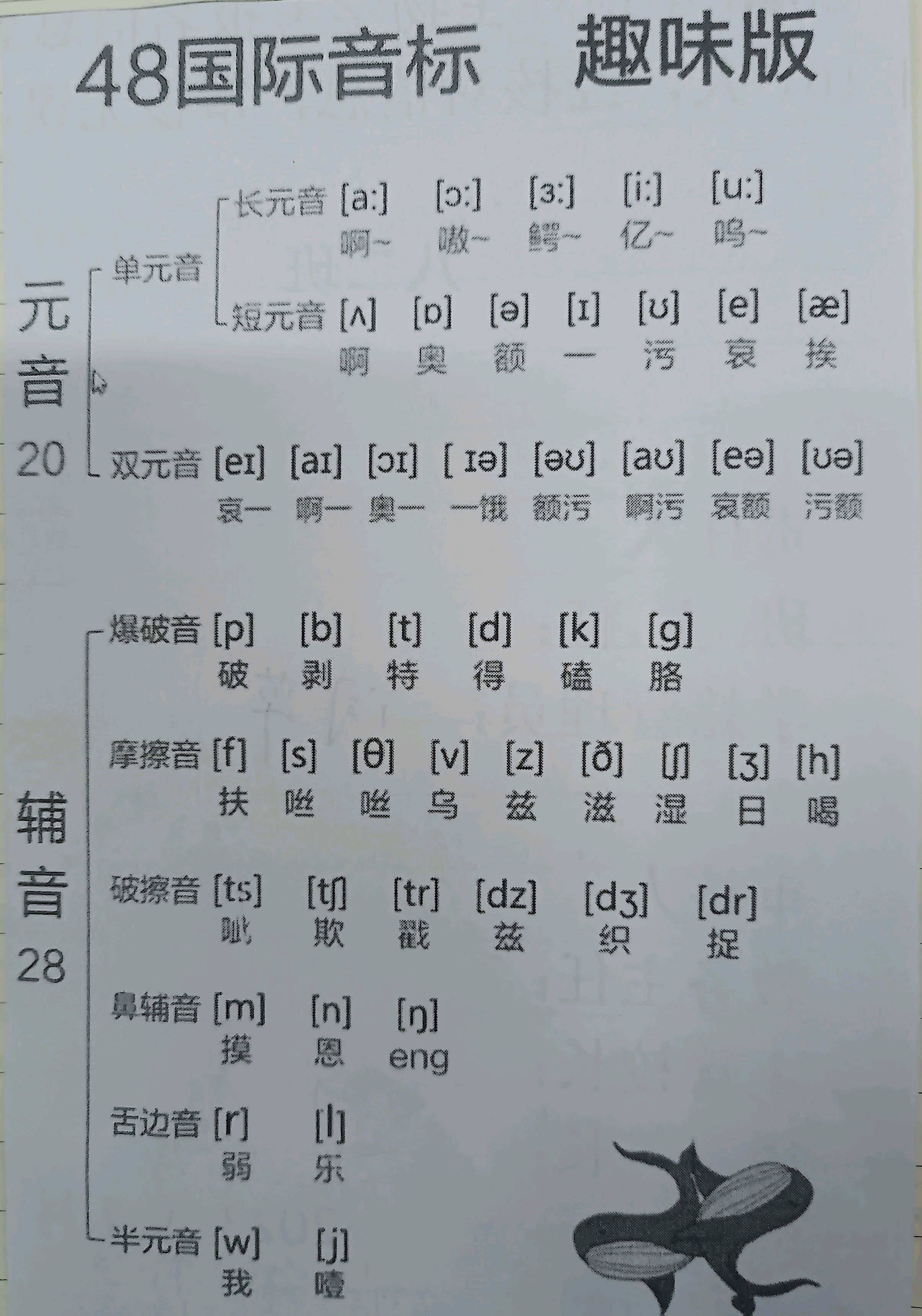 双辅音音标发音图片