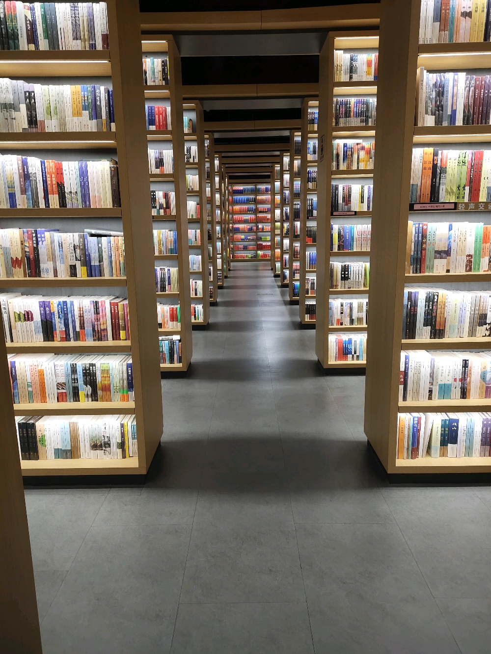 深圳龙岗书城:夏日娱乐和带娃好去处