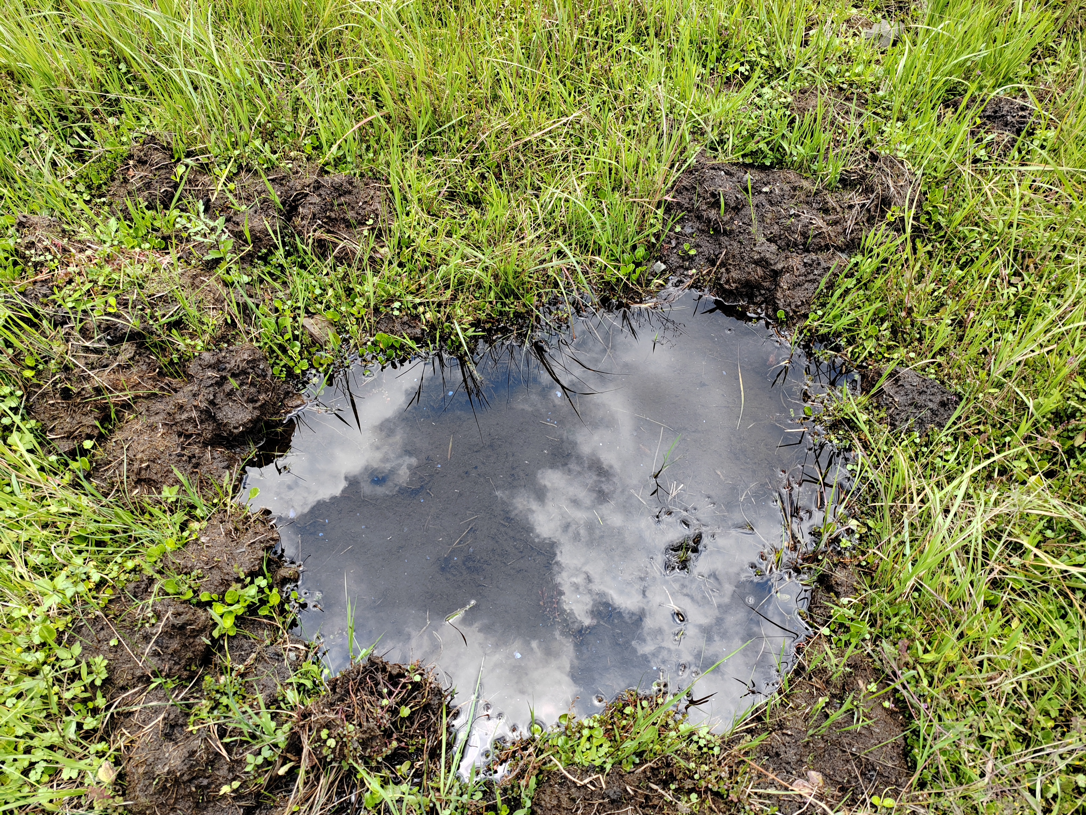 贵州省纳雍县龙场镇自嘎村黑龙潭生态湿地