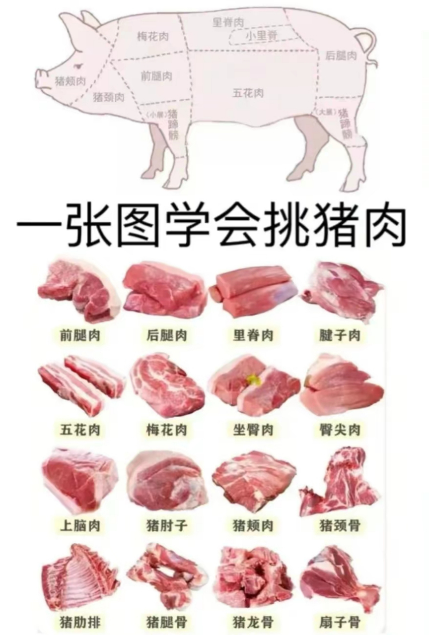 猪肉分部图解图片