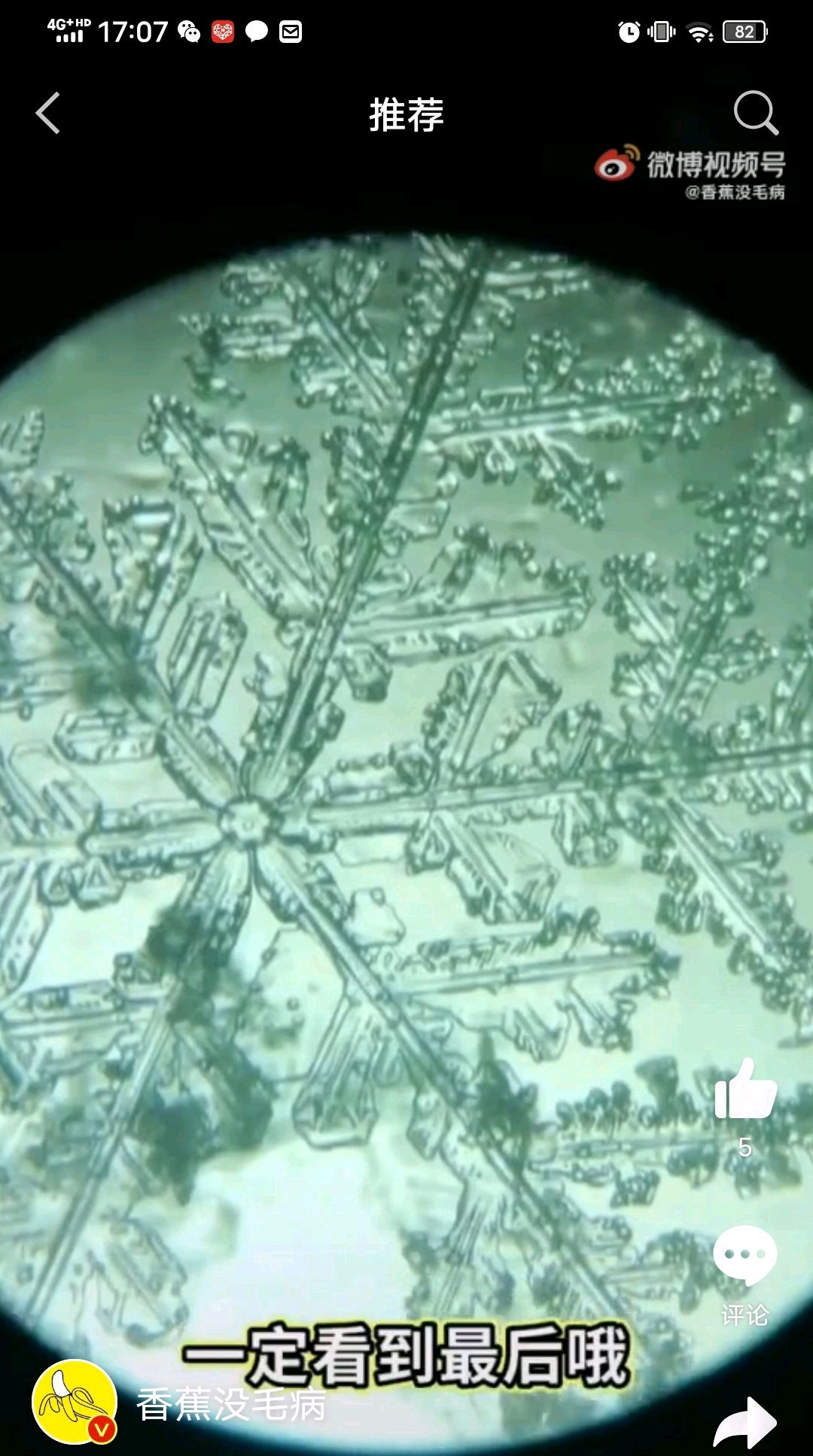 显微镜下放大100倍的雪花漂亮吗?