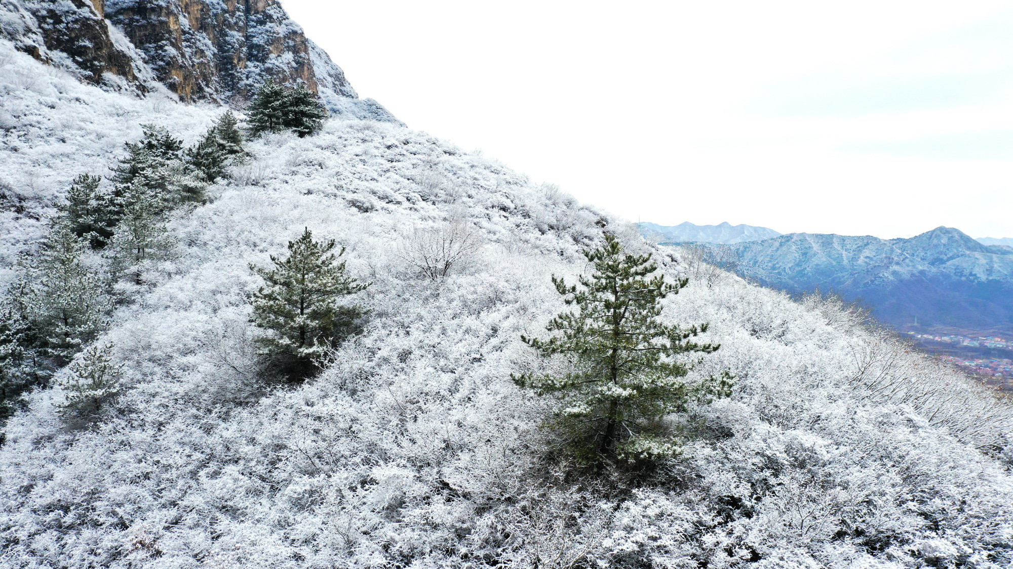 大雪美景图片大全图片