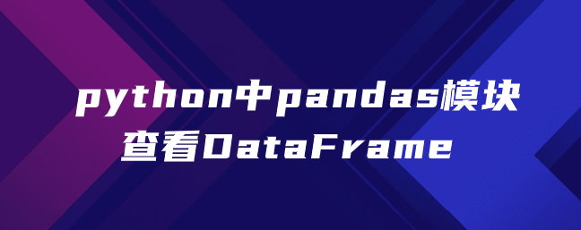 在 python 中的 pandas 模块中查看 DataFrame