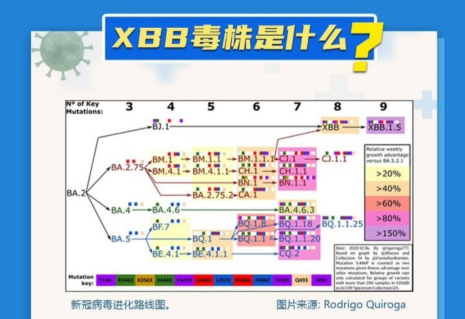 新冠病毒进化路线图,你了解了没?