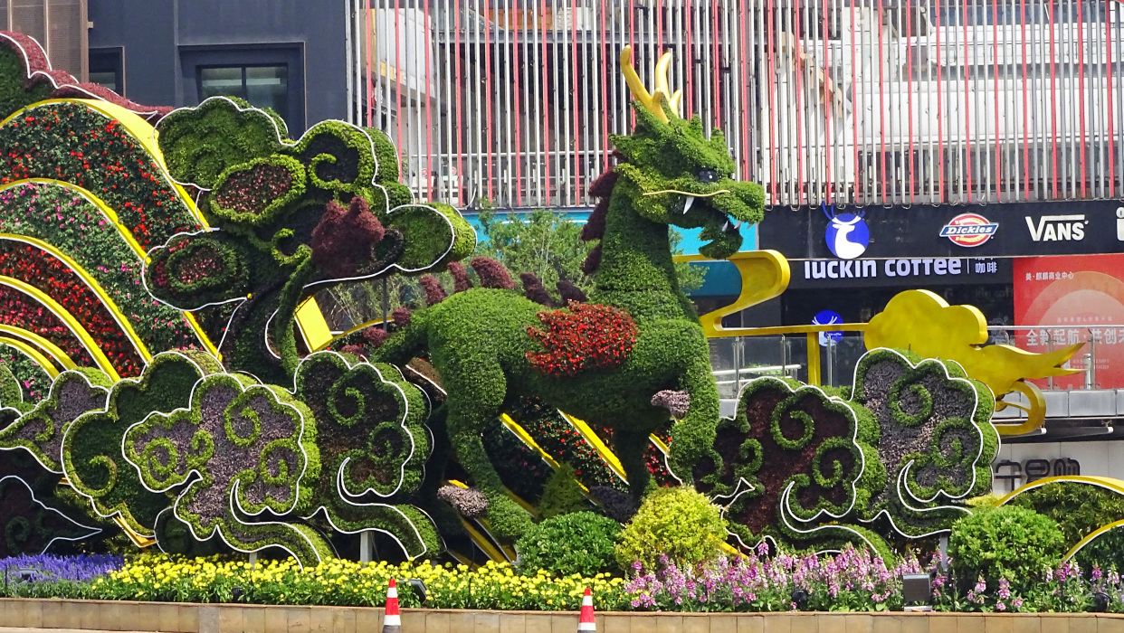 《麒麟蕨瑞庆千祥》曲靖麒麟花园全新地标性立体绿雕建成