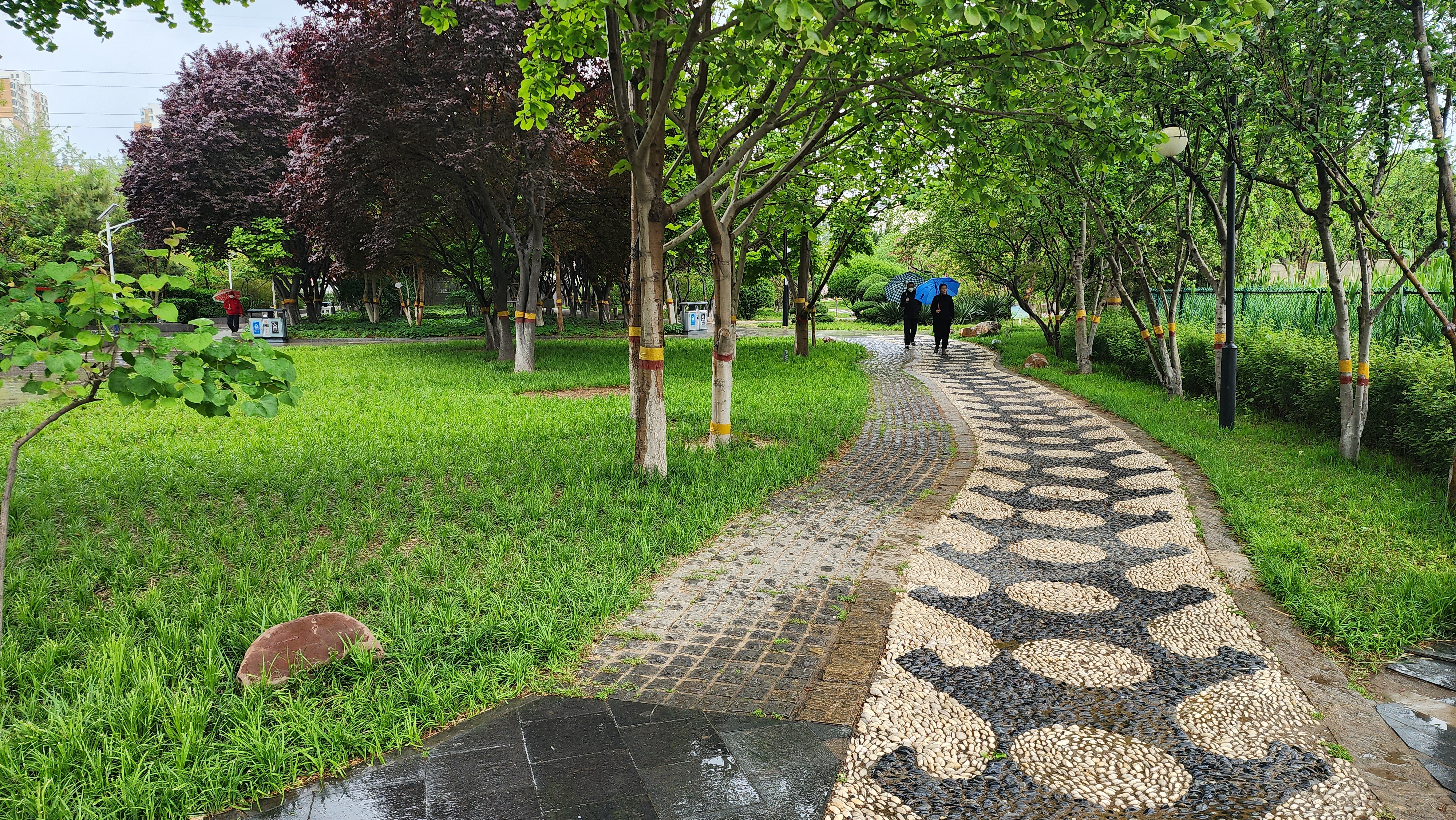 石家庄花卉园-景色优美