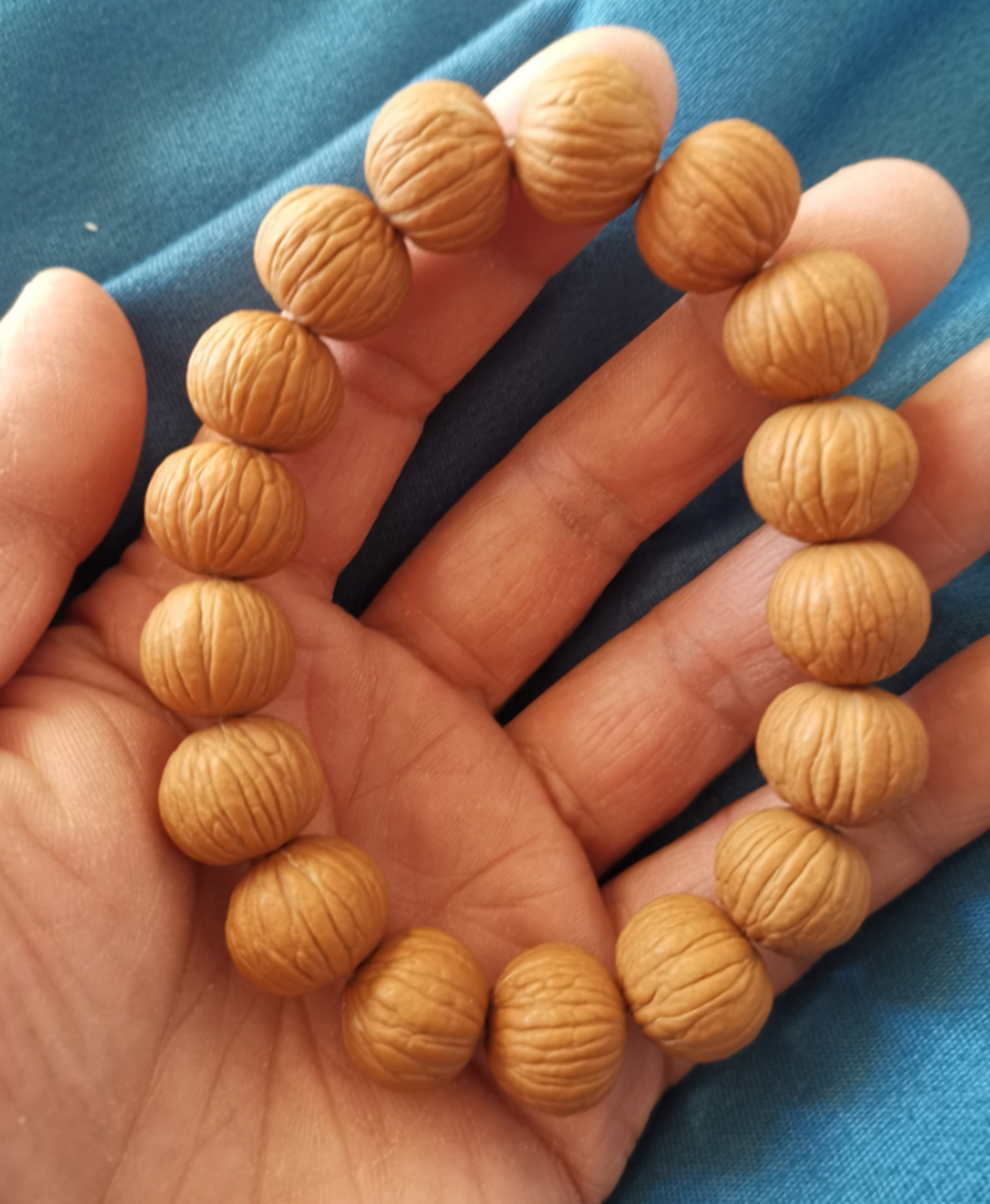 买猴头前,可以先来问问齐哥.#文玩# #猴头# #免费鉴定