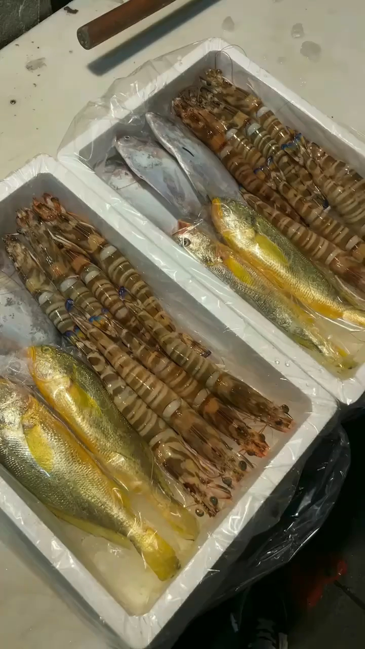 海鲜大礼包 野生黄鱼,竹节虾 鲳鱼,满满一箱 .