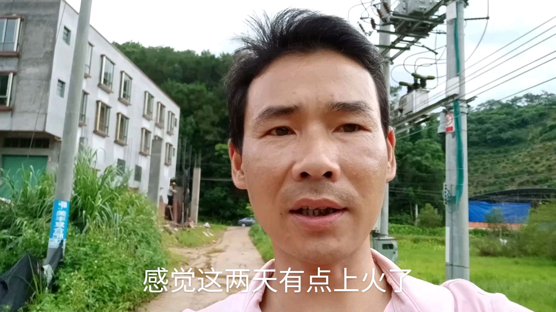 小伙前几天发现了几种凉茶药,今天有点上火,去把它摘回来
