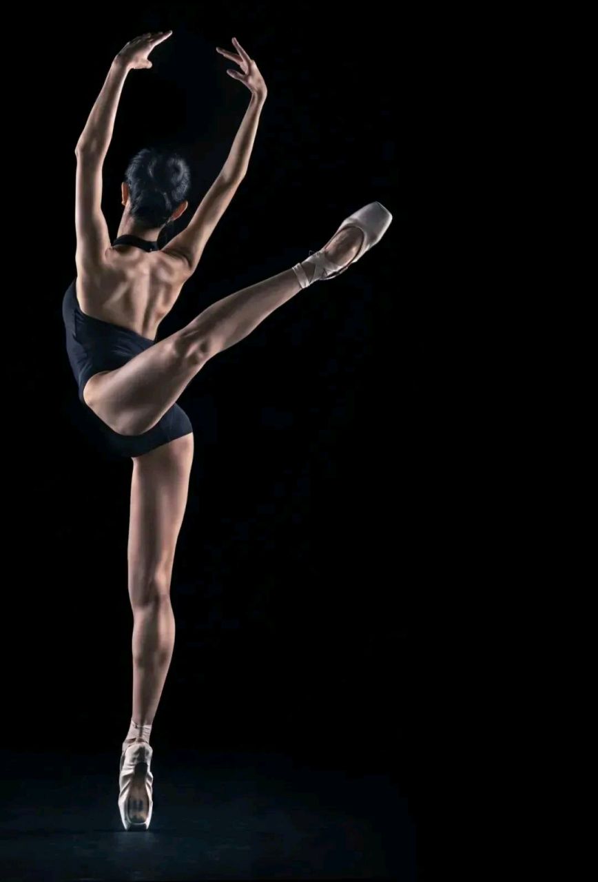 形体艺术摄影[鲜花][鲜花][鲜花]