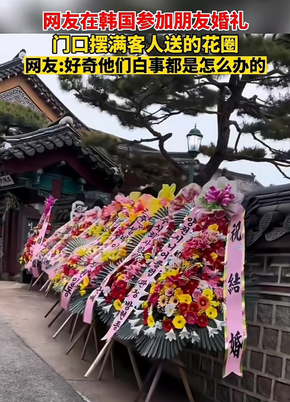 一位网友在韩国参加朋友的婚礼,被婚礼上客人送的花圈惊呆了,她说这是