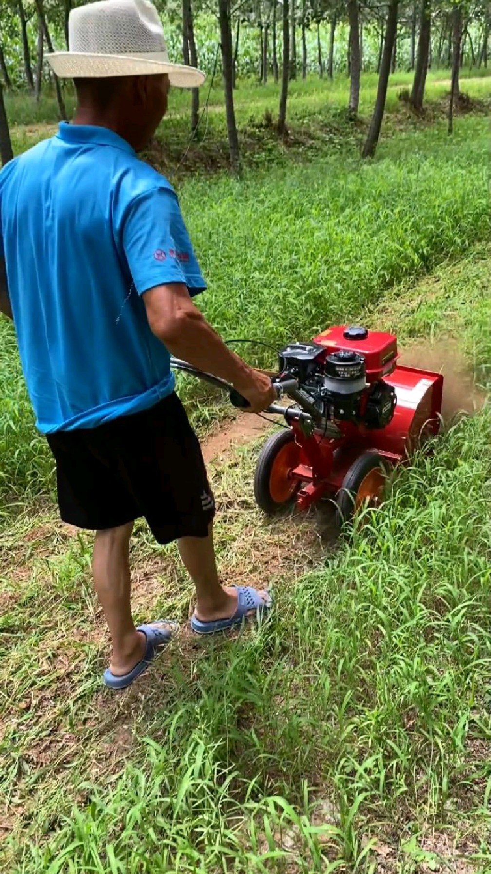 手推式汽油除草机家用锄草神器小型锄地松土开沟一体机
