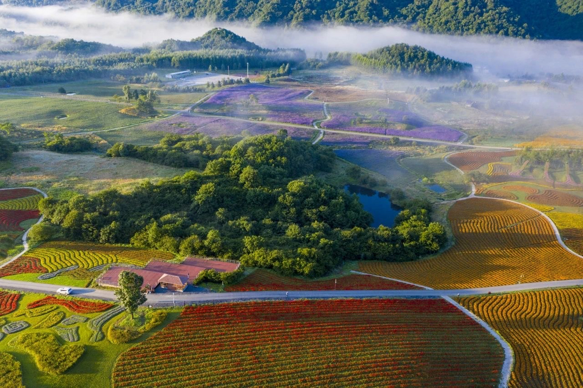 9月3日巫溪红池坝火爆出圈 300余名越野跑选手从全国各地纷至沓来